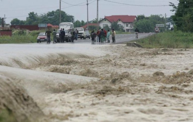 Măsurile luate de veterinari în zonele cu inundaţii. Între timp, un dig din Covasna s-a fisurat