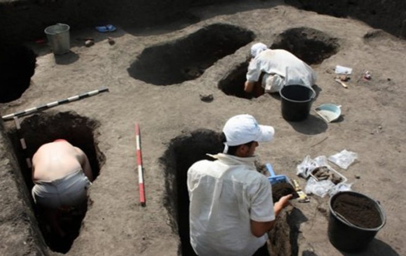 Pâine din epoca bronzului, descoperită la cetatea din Carei. Regiunea din Satu Mare e o adevărată mină de aur pentru arheologi