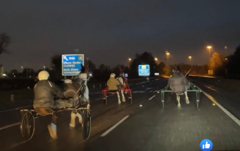 Imagini cu o cursă de cai organizată pe o autostradă din Irlanda, în toiul nopții: „Abuz îngrozitor”