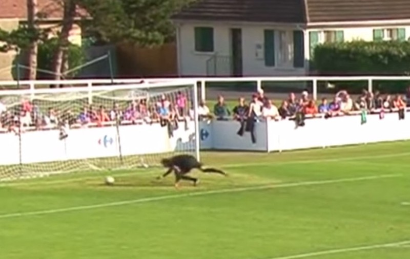 Cel mai ridicol gol primit de un portar în această vară / VIDEO