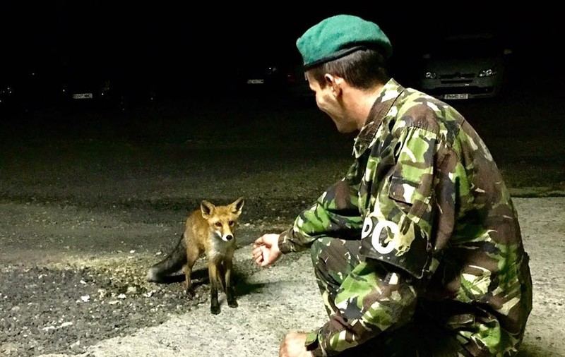 Vânătorii de munte au prieteni necuvântători care îi vizitează zilnic