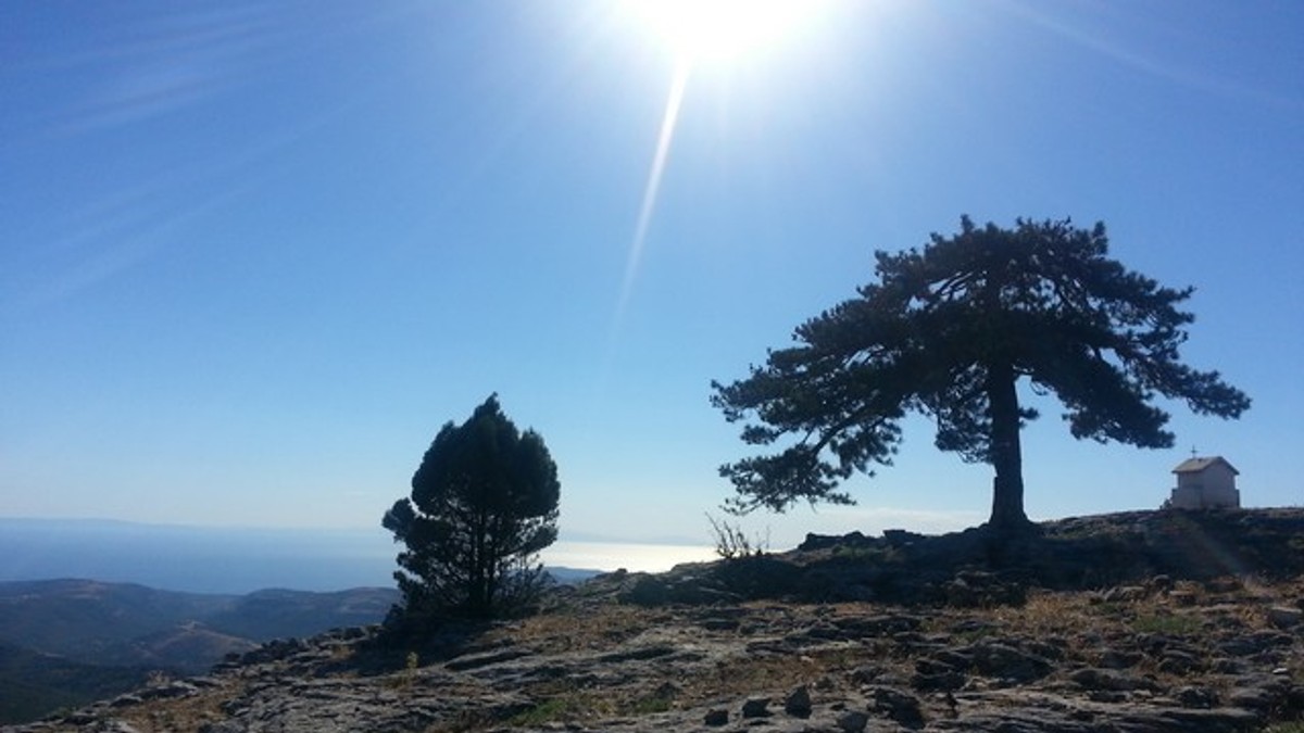 Arhiva foto