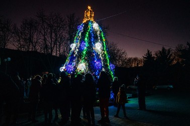 „Bradul invincibilității” din Mikolaiv | Foto: EPA