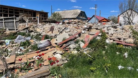 Lalelele plantate de bunica lui Ivan, lângă casa distrusă complet. Foto: BBC