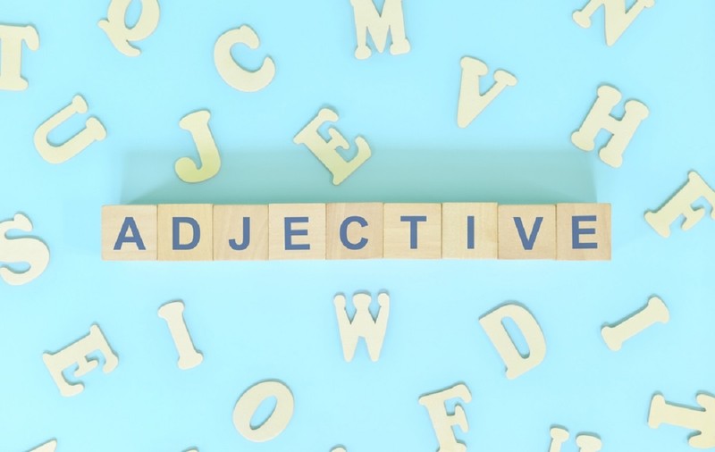 Adjective fără grade de comparaţie