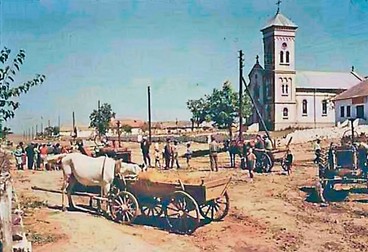Arhiva foto