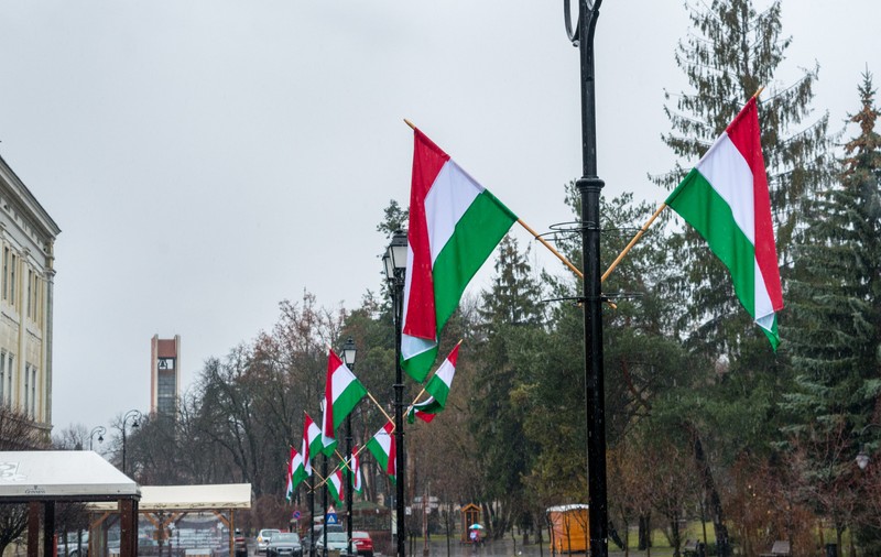 Străzile din Sfântu Gheorghe, decorate cu steagul Ungariei. Reacția primarului Arpad Antal: "Sunt panglici de culori"