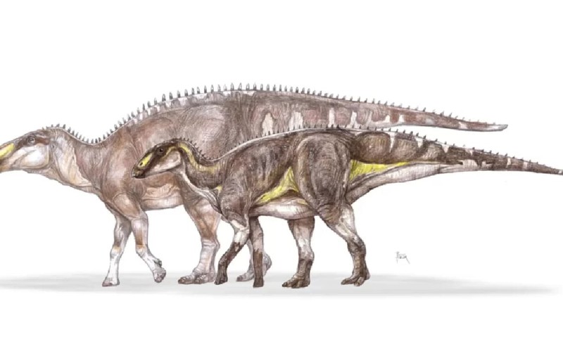 Noua specie de dinozaur descoperită în Geoparcul Țara Hațegului
