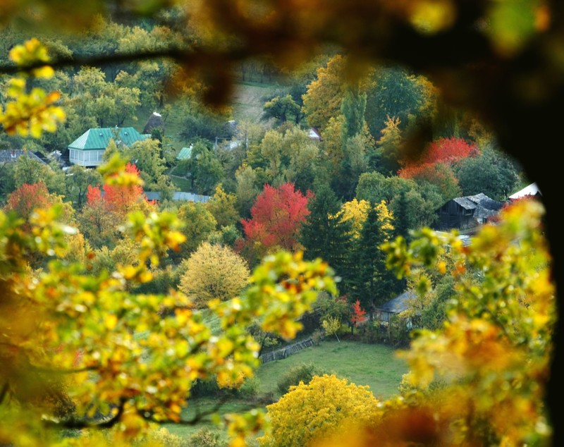 Fotografii prin lumea lui Mihai Eminescu. Toamna colorează spectaculos ”Codrii de aramă” și ”Pădurea de argint”