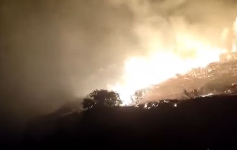 Incendii de vegetație în Grecia. Un oraș din centrul țării a fost evacuat parțial. Focul s-a extins la un hotel din Peloponez