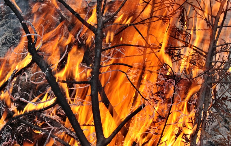 Un magazin dintr-o comună din județul Bacău a ars complet. Care a fost cauza incendiului