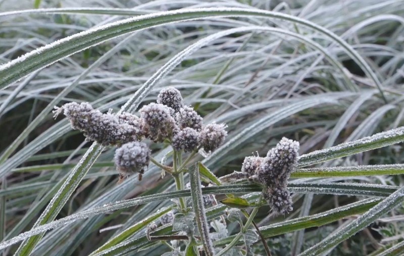 Locul din România unde temperatura a scăzut la sub -6 grade Celsius înainte de începutul lunii octombrie