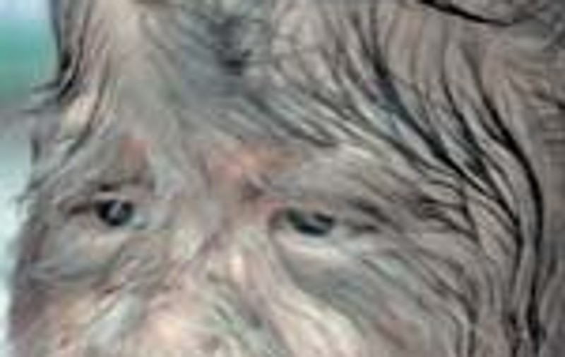 Jumatate om, jumatate animal