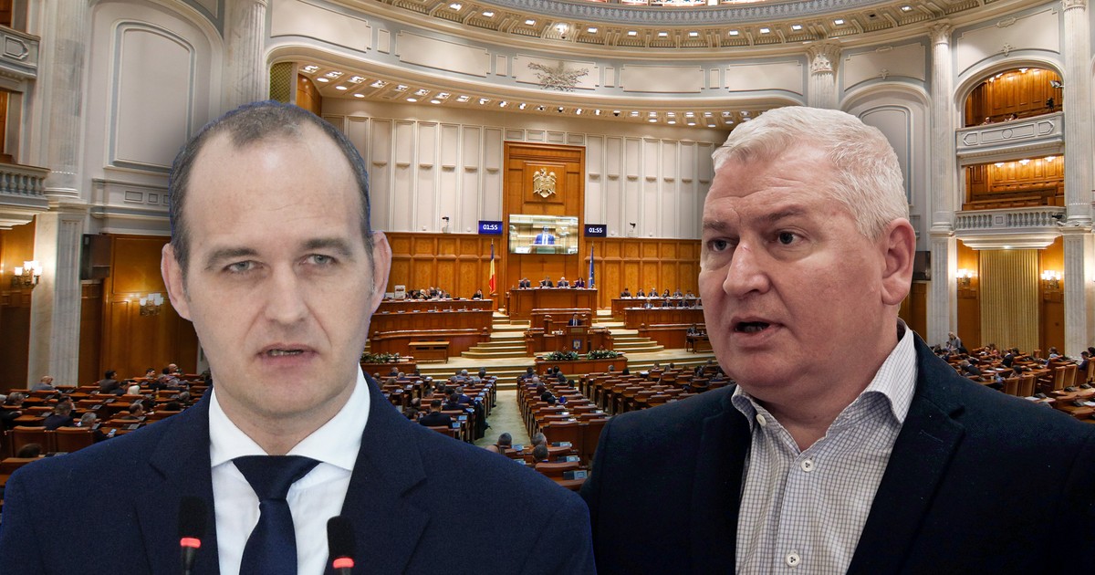 Deputații Dan Vîlceanu și Florin Roman s-au bătut în Parlament