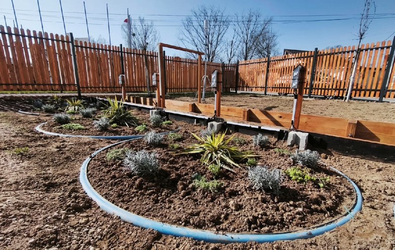 Ce este „grădina de ploaie” pentru care Consiliul Județean Satu Mare a cheltuit 164.500 de euro