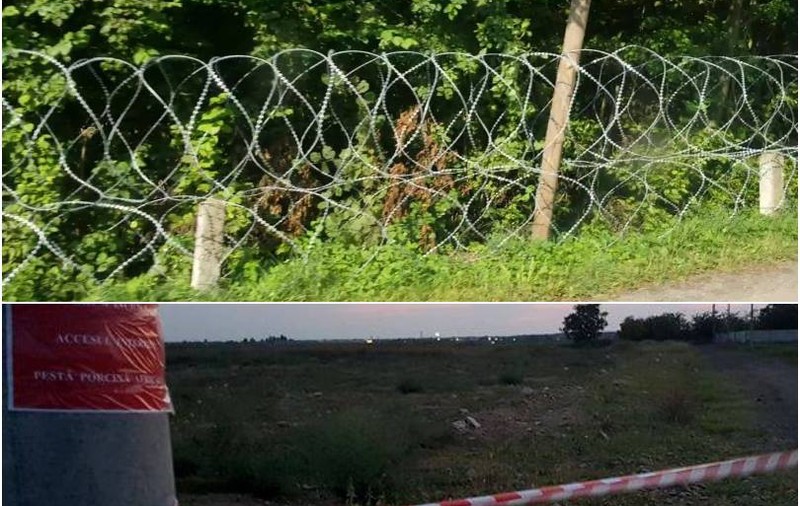 Bulgaria a finalizat gardul de la granița cu România. S-au ridicat 133 km de gard pentru a opri porcii să intre în țara vecină