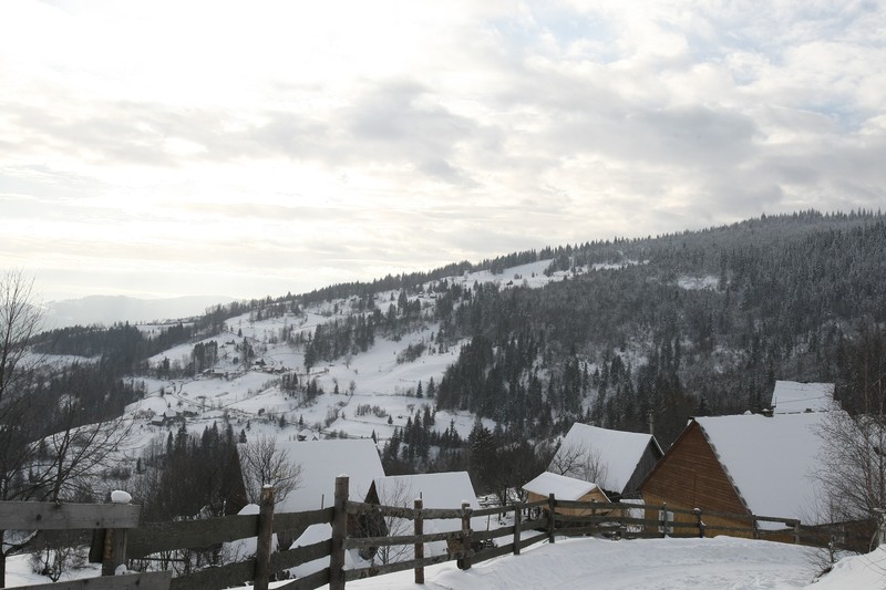 Arhiva foto