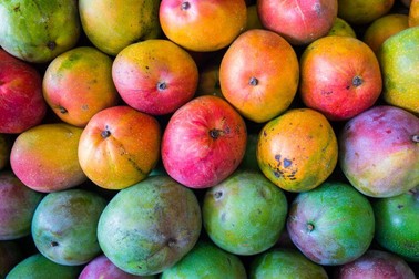 Mango - fructul fericirii