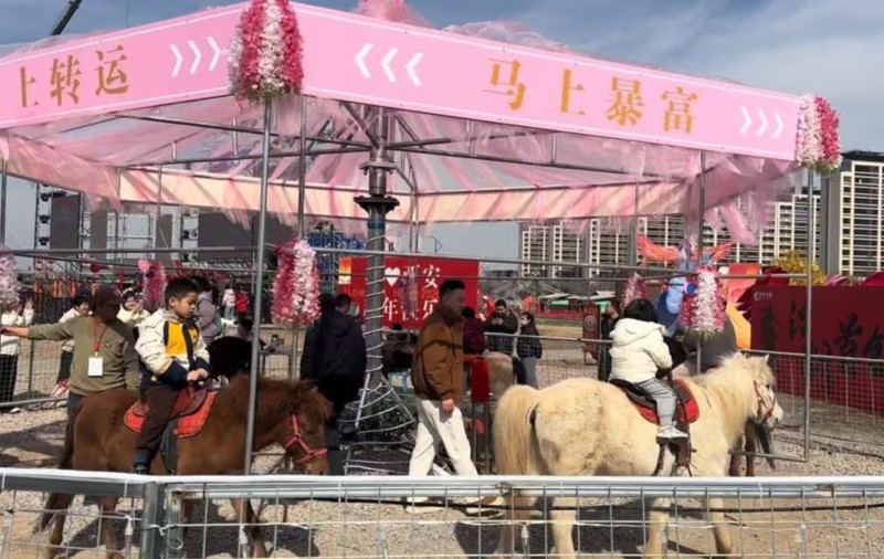 Un carusel cu cai vii dintr-o zonă turistică a stârnit revoltă în China: „Nu amețește calul dacă se învârte în cerc tot timpul?”