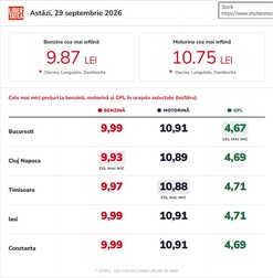 Infografic realizat cu ajutorul Inteligenței Artificiale