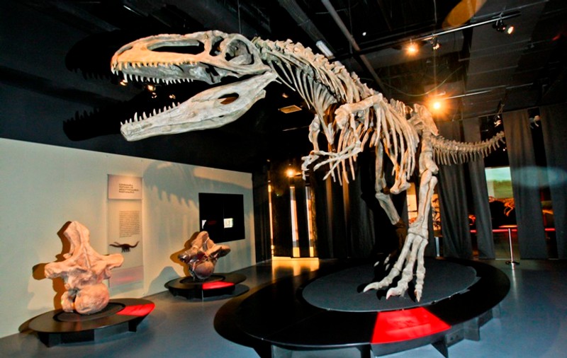 Dinozauri giganţi într-un mall din Capitală