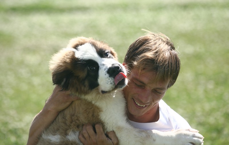 Sâmbătă, concurs canin in Parcul Tei 