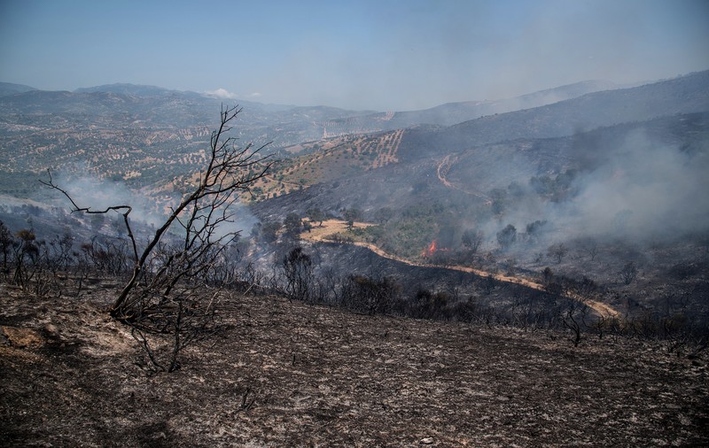 FOTO | Incendii de vegetație în Grecia. Mai multe sate au fost evacuate