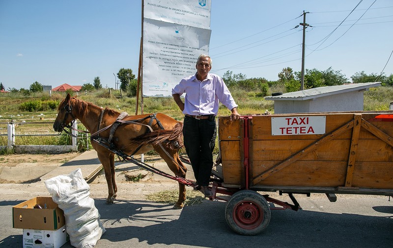 Cel mai ecologic taxi din România are un cal putere! Nea Tetea transportă materiale de construcții, mobilă, saci cu legume și animale