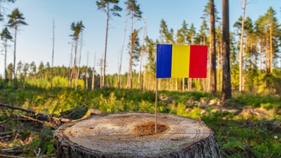 Un,Climate,Change,Conference.,Romania,Deforestation.,Ecological,Disaster,,Deforestation,In