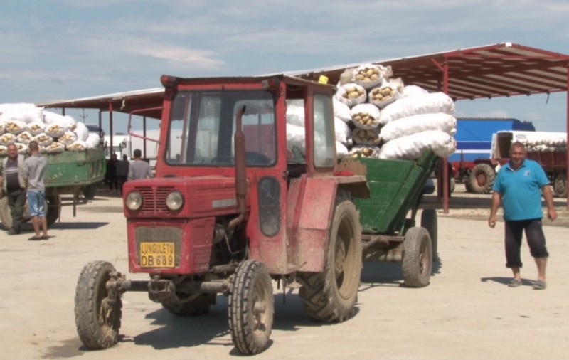Celebrii cartofi de Lungulețu, vânduți la prețuri derizorii. Un sac de 25 de kilograme costă mai puțin de 8 lei