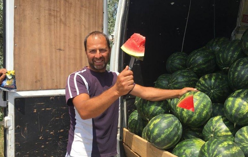S-au copt pepenii de Dăbuleni! Producătorii se tem că nu vor avea profit