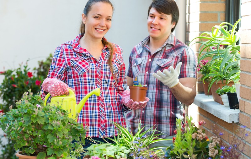 Fă-ţi grădină pe balcon! E timpul să plantezi primule, panseluţe, nu-mă-uita