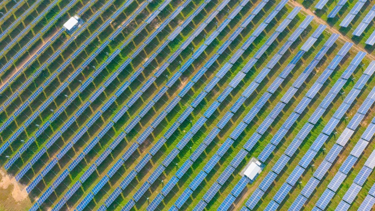 O vastă rețea de panouri solare. Poză cu caracter ilustrativ. Foto: Envato