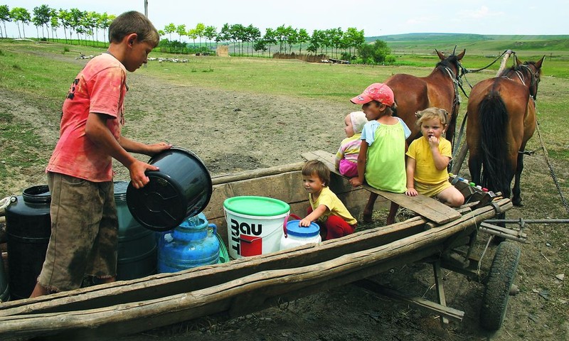Arhiva foto