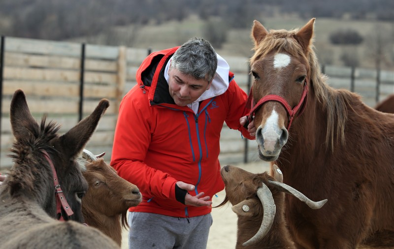 Povestea tristă a lui Papi, un pui de căprioară rănit, a însemnat începutul unui proiect uimitor: Sanctuarul Papi Land, locul unde animalele de fermă abuzate și torturate reînvață să trăiască