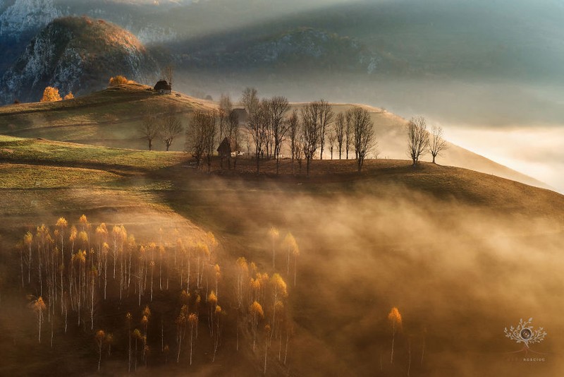 Arhiva foto