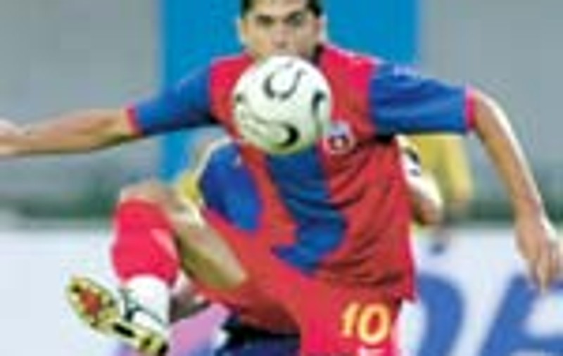 Chin stelar 