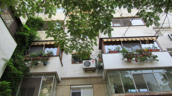 Balcoanele cu flori la blocul din Brăila