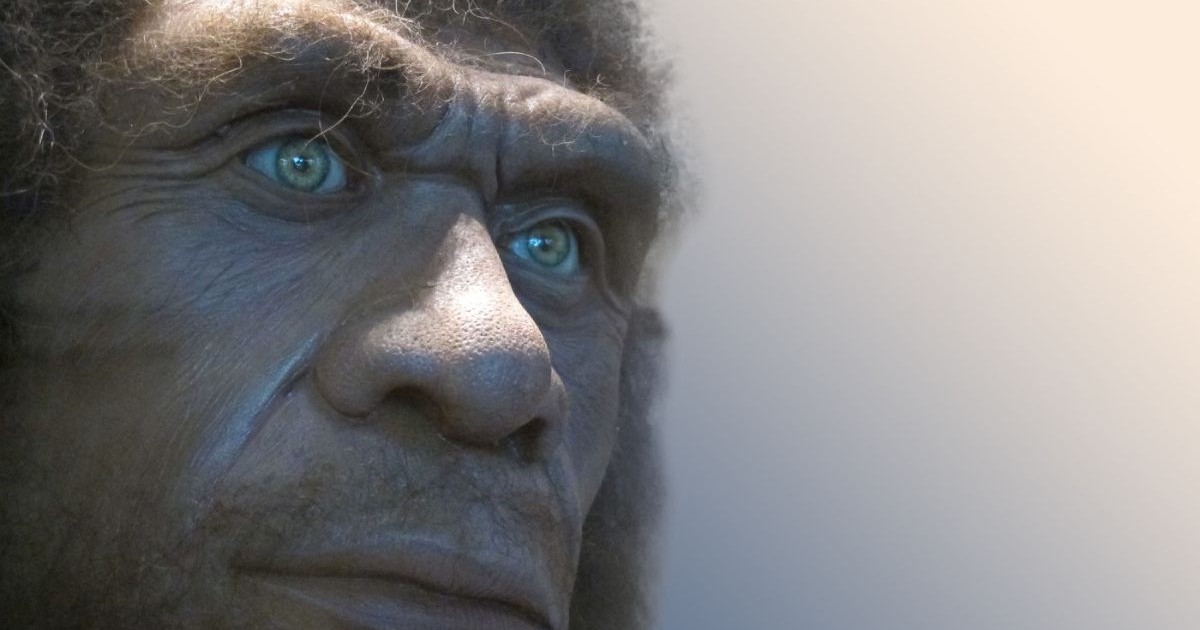 Reproducere a chipului unui Neanderthal, sursă foto: Profimedia