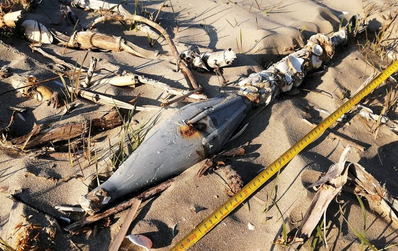 Obiectul găsit pe plaja de la Sfântu Gheorghe este o „lovitură inertă" de aruncător de grenade”. Avea o vechime de 20 de ani