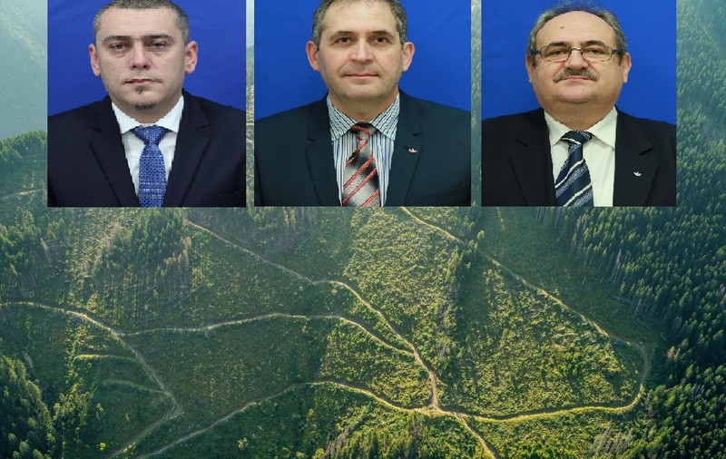 Liber la defrișări! Toporul UDMR din Parlament: "Nu afectăm natura dacă tăiem câteva hectare"