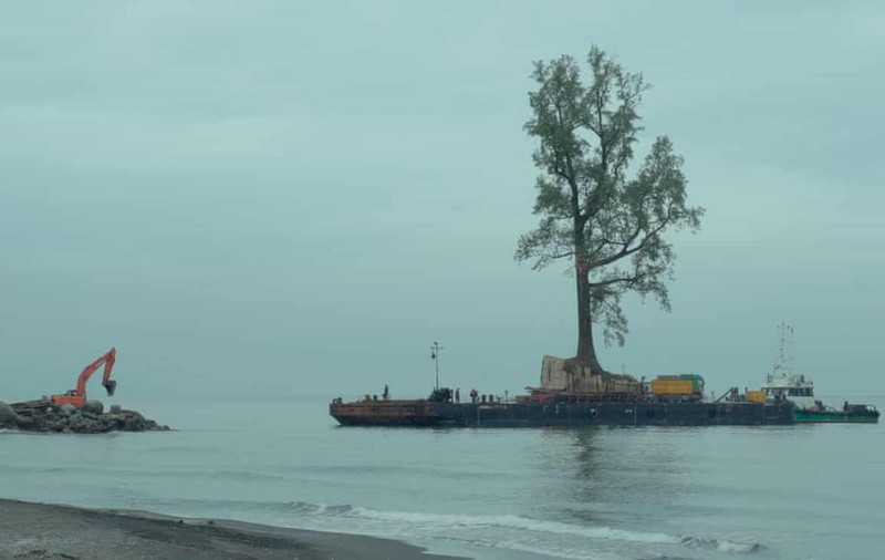 Oameni și rădăcini. Un film care merită văzut