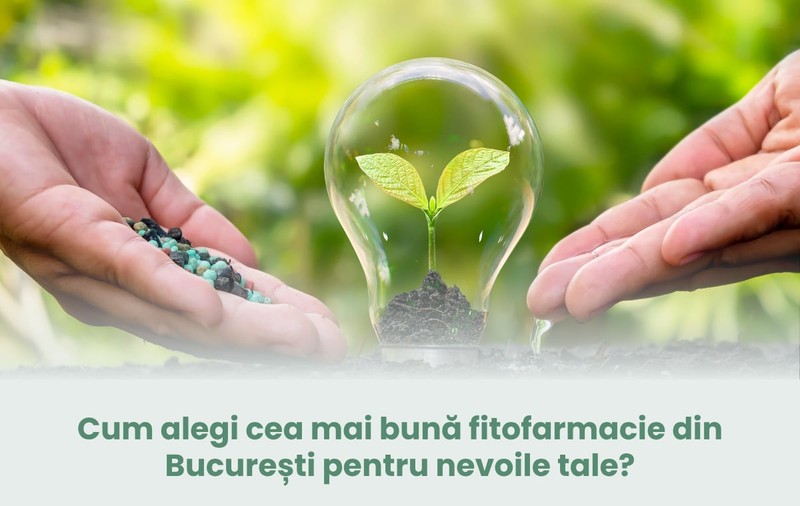 Cum alegi cea mai bună fitofarmacie din București pentru nevoile tale?