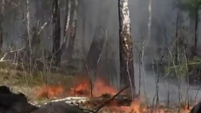 Flăcările înghit pădurile radioactive de la Cernobîl, lângă reactorul nuclear, după un atac cu dronă. Autoritățile sunt în alertă maximă