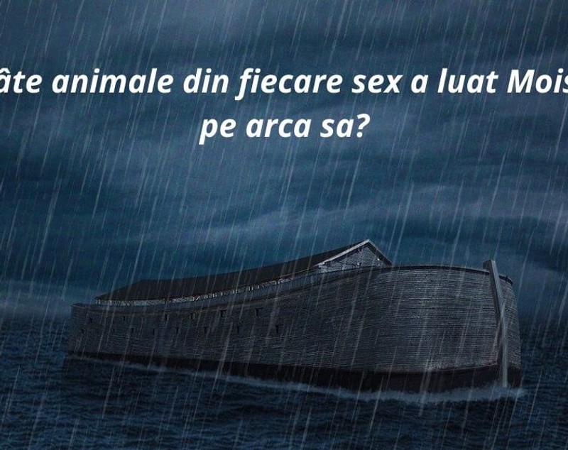 Întrebări capcană - 40 de întrebări capcană care te vor pune în dificultate