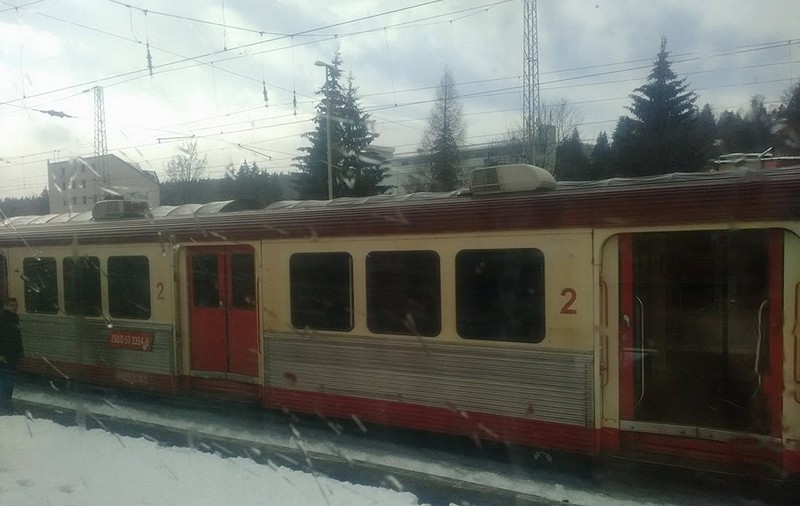 UPDATE: Traficul feroviar în Braşov a fost reluat. Copacul, îndepărtat de pe șine
