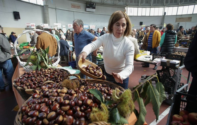 Castanele românești de Tismana nu s-au mai făcut, din cauza secetei. Fructele din import n-au gust și sunt scumpe: „dar ne facem pofta”