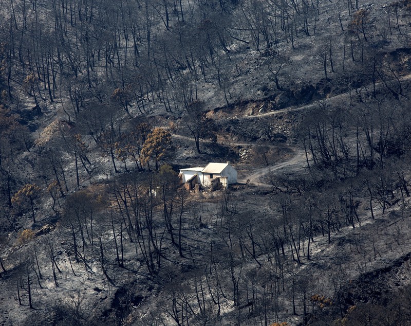 Peste 250 de soldați se luptă cu incendiile din sudul Spaniei. Numărul persoanelor evacuate a depășit 2.000