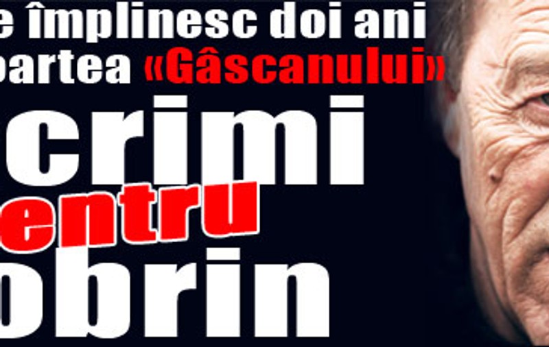 Lacrimi pentru Dobrin