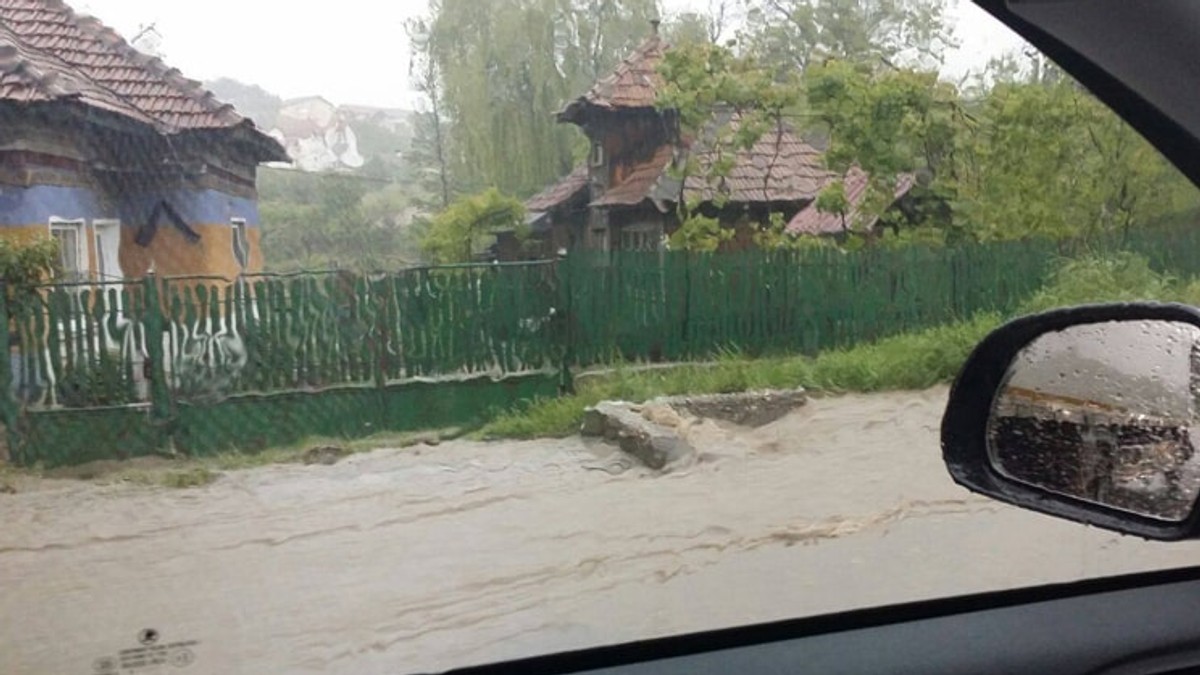 Arhiva foto